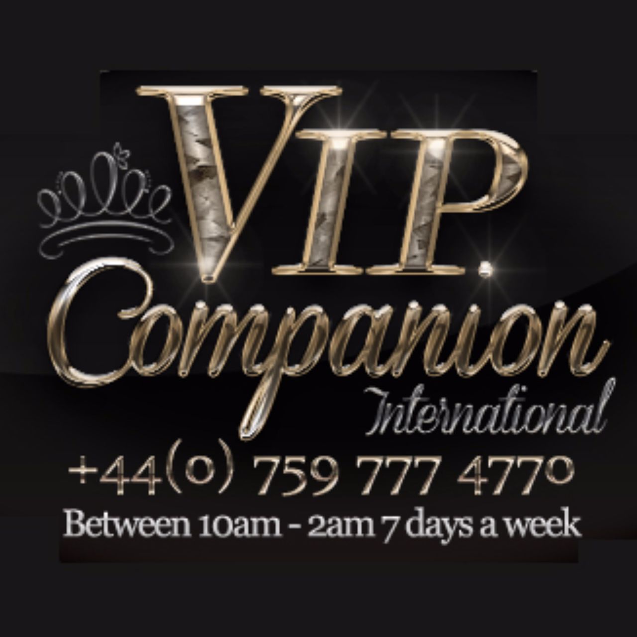 VIP Companion International